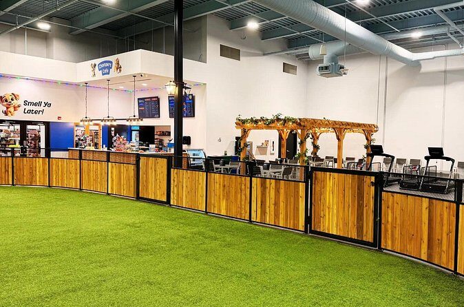 Petfinity Indoor Dog Park in Calgary - The Practical Benefits