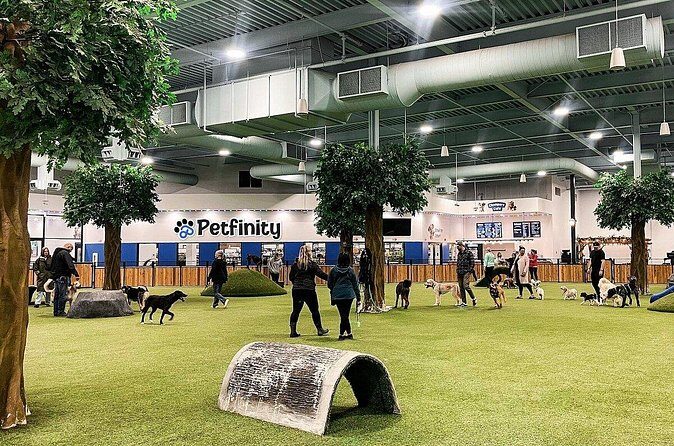 Petfinity Indoor Dog Park in Calgary - Who Will Love This Experience?