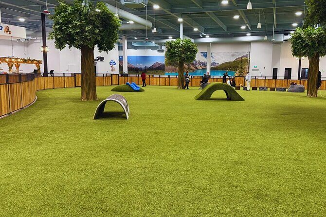 Petfinity Indoor Dog Park in Calgary - FAQ