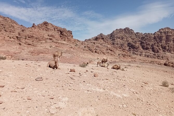 Petra Back-Road Trail and Hike - Key Points