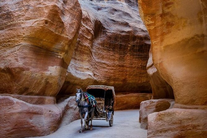 Petra Private Full-Day Tour - Accessibility and Participation