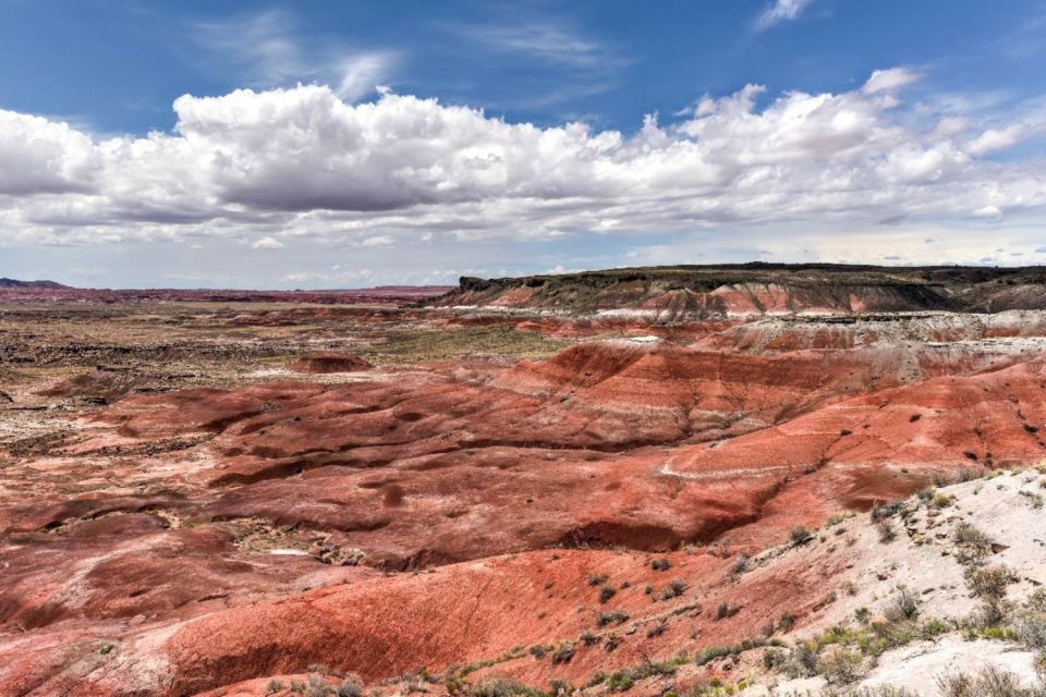 Petrified Forest National Park Self-Guided Audio Tour - Tepees and Blue Mesa