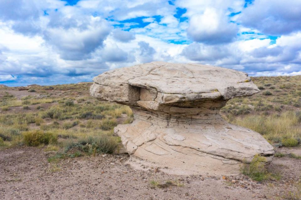 Petrified Forest National Park Self-Guided Audio Tour - Jasper Forest and Crystal Forest