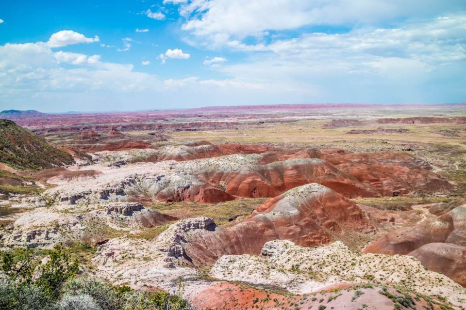 Petrified Forest National Park Self-Guided Audio Tour - Tour Inclusions