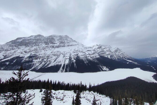 Peyto Lake Lake Louise Johnston Canyon Bow Lake from Calgary - The Sum Up