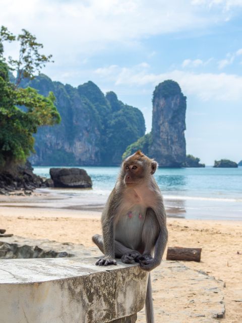 Phi Phi & 4 Islands Sunset Plus Bioluminescent Plankton - Frequently Asked Questions