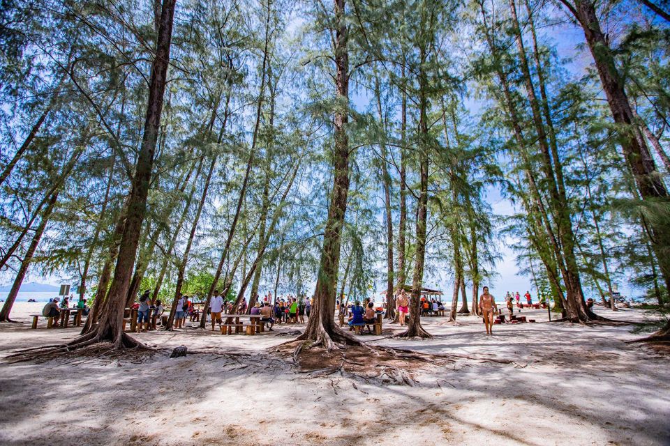 Phi Phi: 4Hrs Bamboo & Phi Phi Tour By Private Longtail Boat - Meeting Point