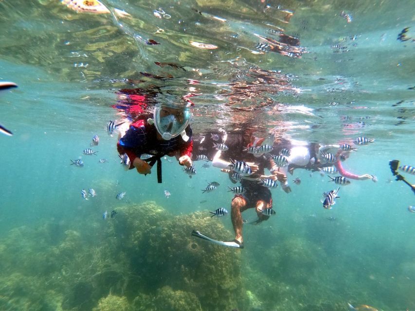 Phi Phi: 4Hrs Bamboo & Phi Phi Tour By Private Longtail Boat - Frequently Asked Questions