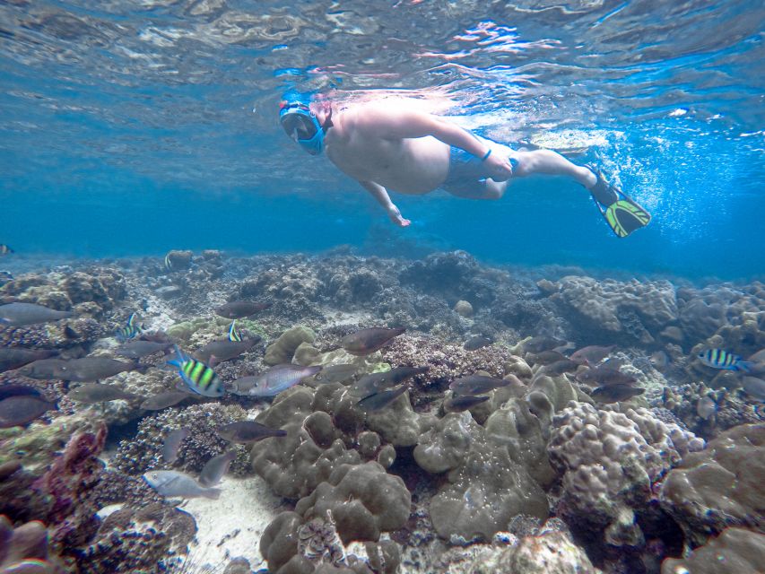 Phi Phi & Bamboo Islands: Premium Day Trip W/ Seaview Lunch - Inclusions