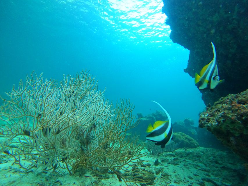 Phi Phi & Bamboo Islands: Premium Day Trip W/ Seaview Lunch - Cancellation Policy