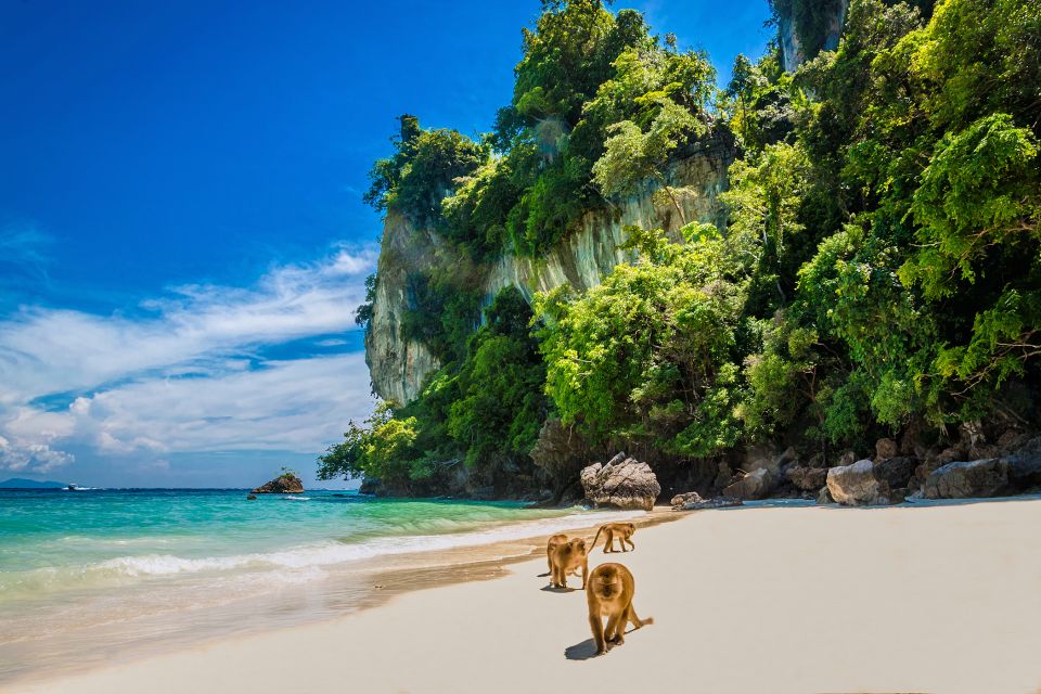 Phi Phi: Half-Day Long-Tail Island Boat Tour Ticket - Itinerary