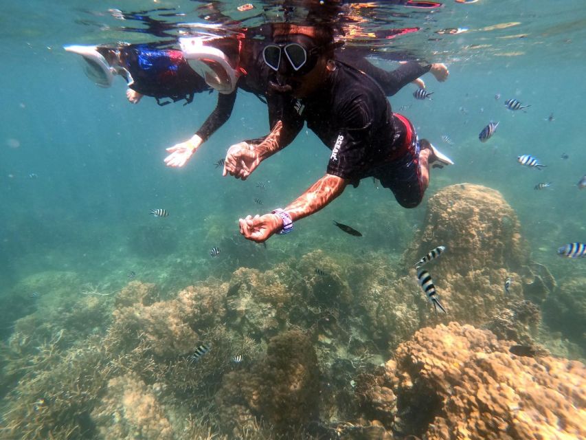 Phi Phi: Half-Day Phi Phi Snorkeling Trip by Longtail Boat - Frequently Asked Questions