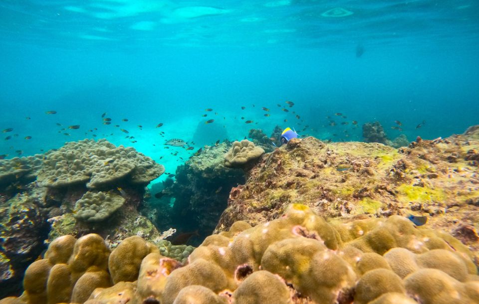 Phi Phi: Half Day Speedboat Tour to Maya Bay With Snorkel - Meeting Point and Directions