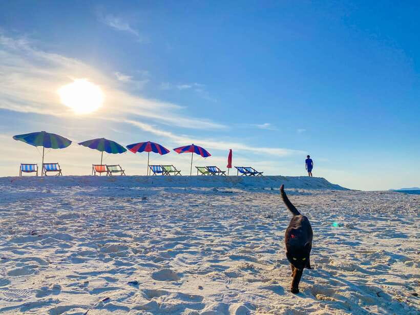 Phi Phi Highlight: Full-Day Island by Speedboat or Catamaran - Itinerary Breakdown and Activities