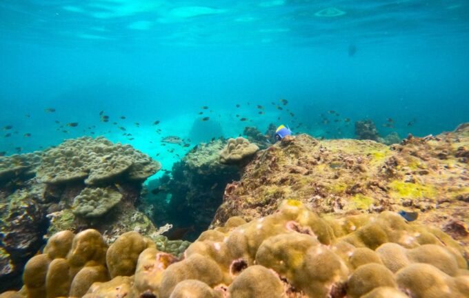 Phi Phi: Highlights Speedboat Tour With Maya Bay & Snorkel - Visiting the Picturesque Loh Samah Bay