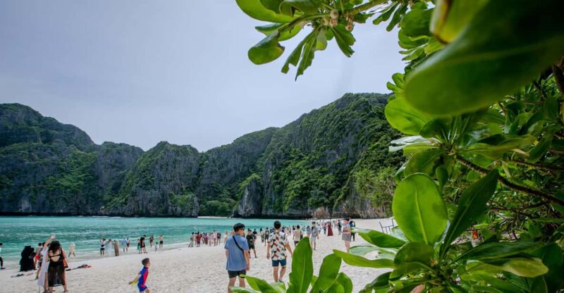 Phi Phi Island: Maya Bay Sunset & Plankton by Speedboat - Inclusions