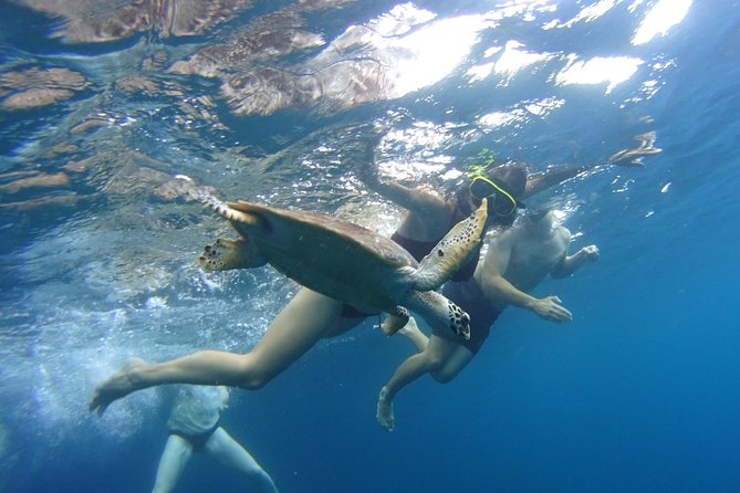 PHI PHI ISLAND - Sunrise Trip From Phi Phi Don By Phi Phi Local Tour - Cancellation Policy