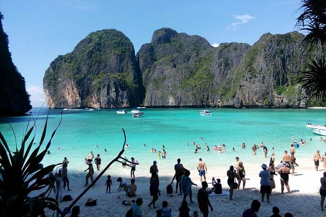 Phi Phi Island Tour by Speedboat From Krabi With Lunch (Sha Plus) - Pickup Information and Locations