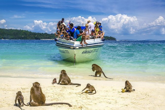 Phi Phi Island Tour by Speedboat From Krabi With Lunch (Sha Plus) - Health and Safety Measures