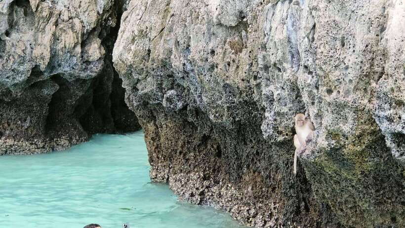 Phi Phi Islands: Private Longtail Boat 6-hour Trip - Health and Safety Considerations