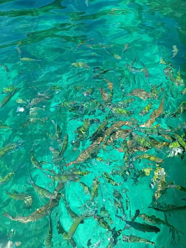 Phi Phi Islands: Private Longtail Boat 6-hour Trip - Customer Ratings and Feedback