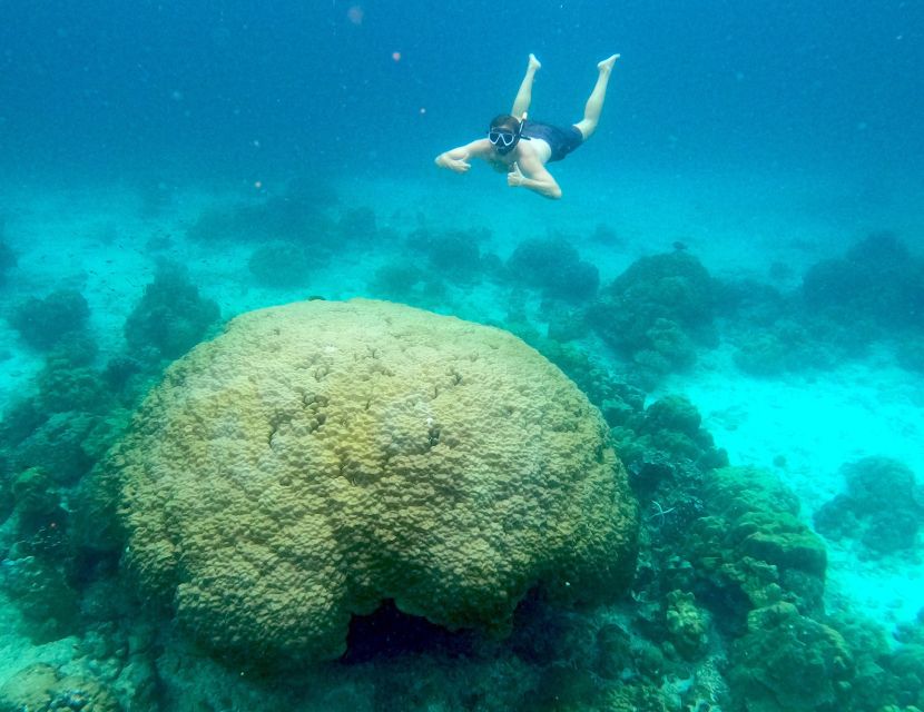 Phi Phi: Private Speedboat Tour to Maya Bay Incl. Park Fee - Frequently Asked Questions