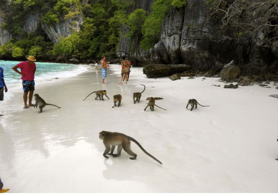 Phi Phi: Private Sunset & Bioluminescent Plankton Boat Tour - Itinerary: Viking Cave and Pileh Lagoon