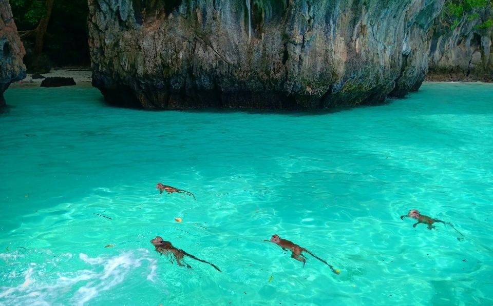 Phi Phi: Sunrise & Beat The Crowds to Maya Bay by Speedboat - Key Points
