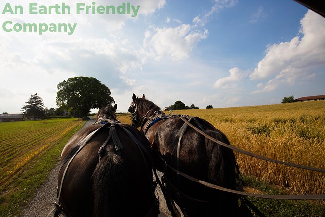 Philadelphia and Amish Country, 1-Day Tour From NYC - Itinerary Highlights