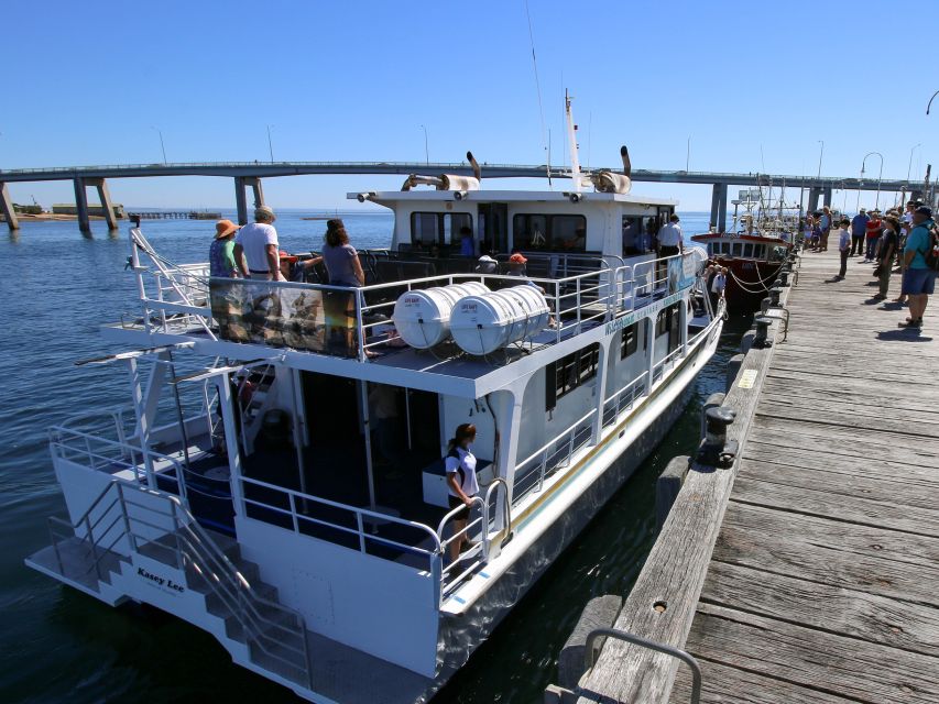 Philip Island: Dolphin and Whale Cruise - Recap and Recommendations