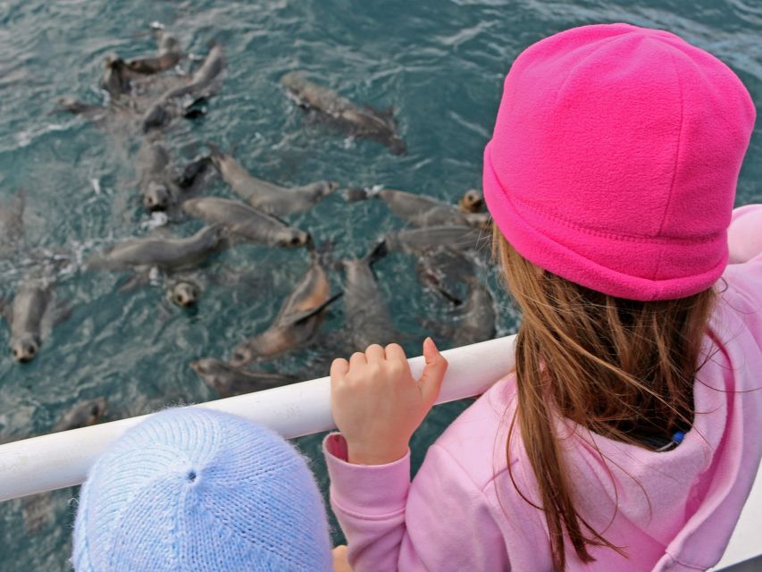 Philip Island: Seal Watching Cruise - Recommendations