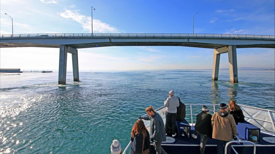 Phillip Island: 1-Hour Cape Woolamai Scenic Cruise - Customer Reviews