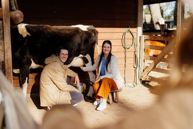 Phillip Island and Penguin Parade Private Tour - Transportation and Logistics