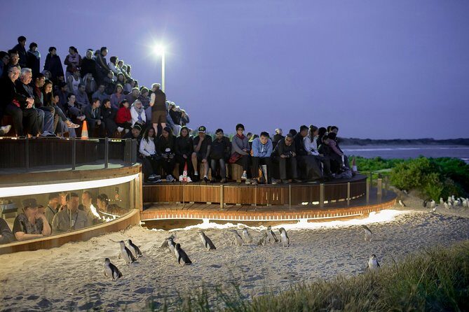 Phillip Island Day Trip from Melbourne with Penguin Plus Viewing Platform - The Sum Up: Is It Worth It?