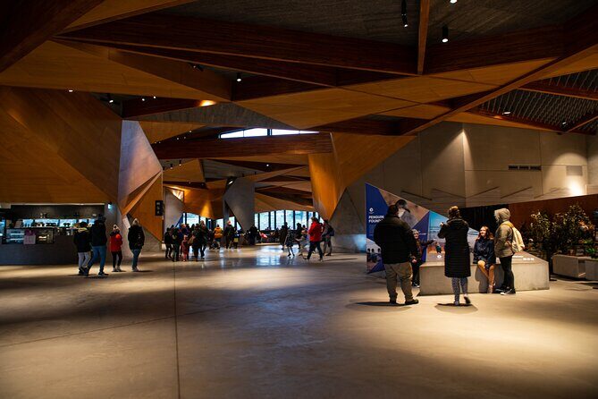 Phillip Island Direct Tour Penguin Parade and Coastal Views - Is This Tour Good Value?