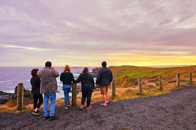 Phillip Island: Golden Hour Penguin Express Tour w/ Island Pickup - Who Will Love This Tour?