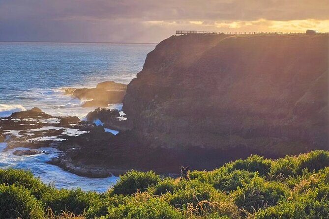 Phillip Island: Golden Hour Penguin Express Tour w/ Island Pickup - FAQs