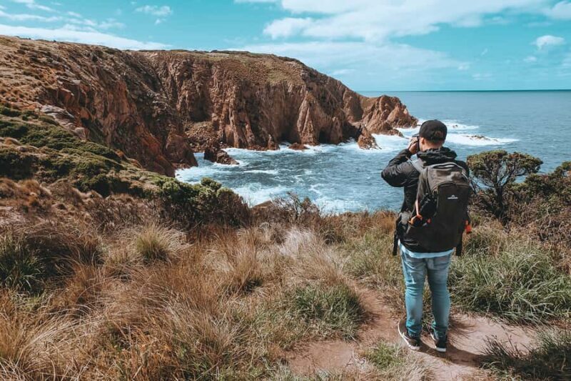 Phillip Island: Hike and Penguin Parade - 8 pax Small Tour - Frequently Asked Questions