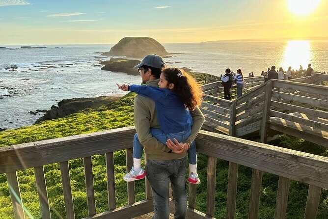 Phillip Island & Penguin Parade Afternoon Eco Tour from Melbourne - A Deep Dive into the Tour Experience