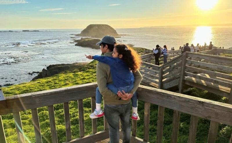 Phillip Island Penguin Parade Afternoon Tour from Melbourne - The Experience’s Strengths