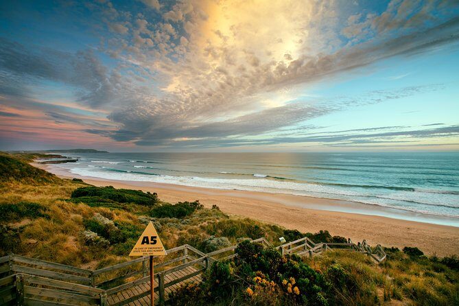 Phillip Island Penguin Parade Day Trip with Koalas from Melbourne - Introduction: Is this tour worth your time?