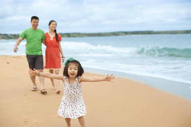 Phillip Island Penguin Parade Day Trip with Koalas from Melbourne - Who should consider this tour?