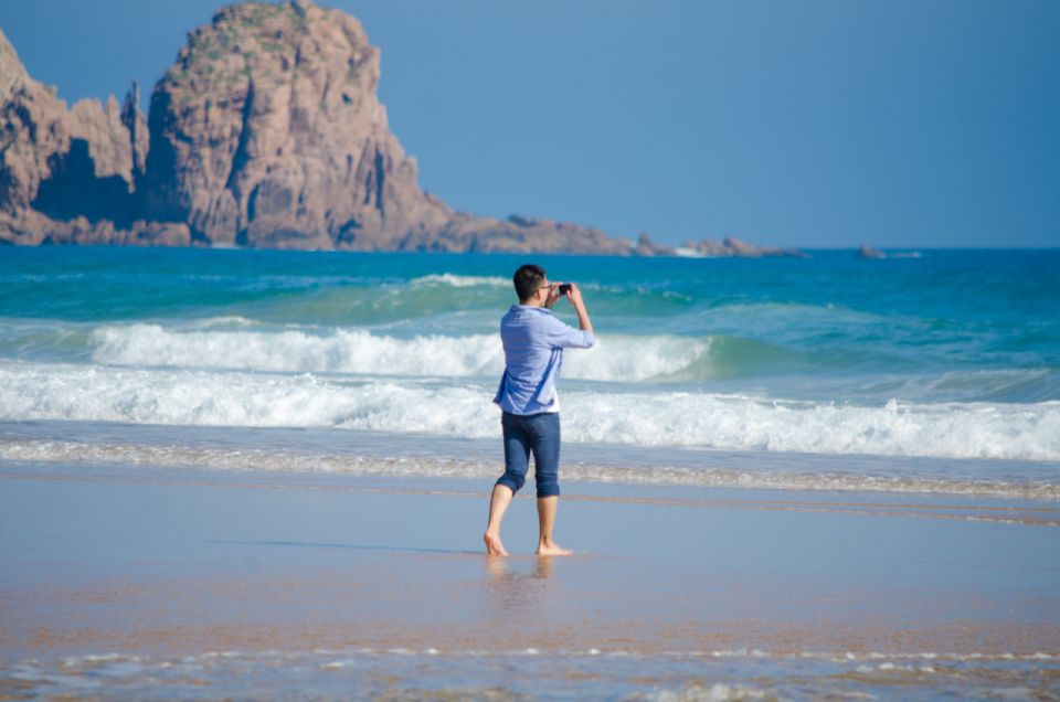 Phillip Island: Penguins and Wildlife Full-Day Tour - Tour Itinerary