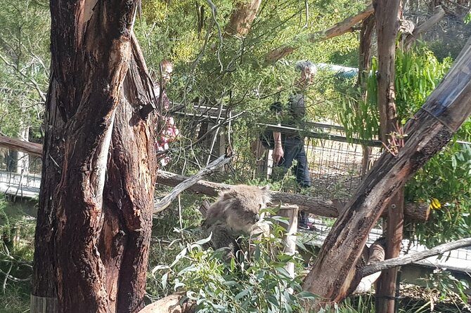 Phillip Island Private Experience - Additional Activities and Personal Touches