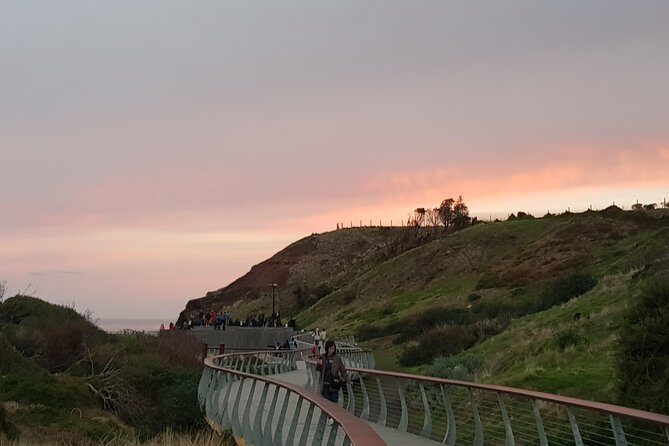 Phillip Island Private Experience - Dining and Local Flavors