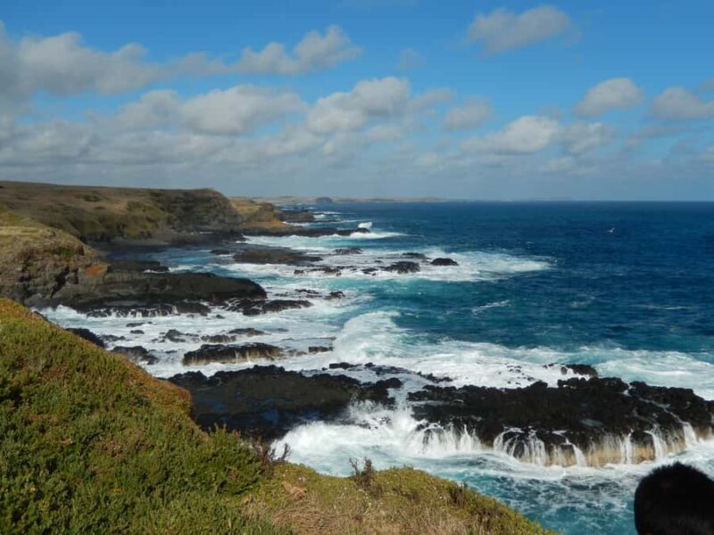 Phillip Island: Private Guided Tour with Penguin Parade - An In-Depth Look at the Phillip Island Private Tour