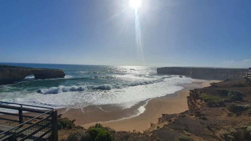 Phillip Island: Private Tour with Penguin Parade - An In-Depth Look at the Tour Experience