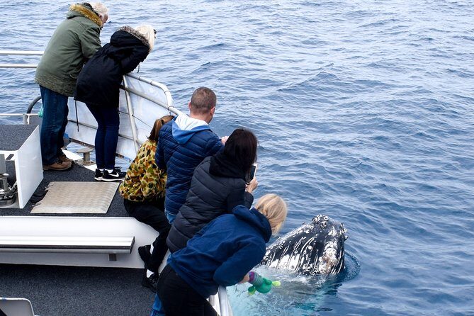 Phillip Island Whale Watching Tour - Final Thoughts