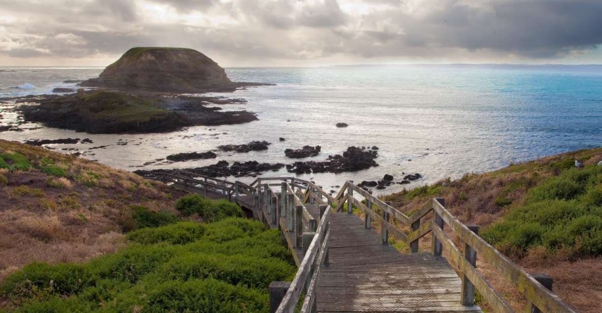 Phillip Island Wildlife & Brighton Beach Boxes Private Tour - Highlights