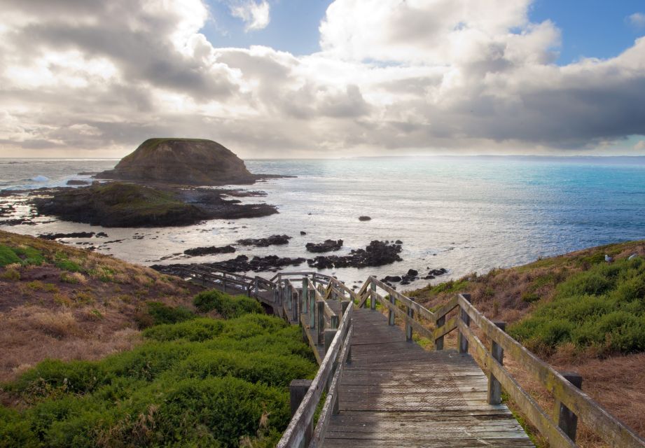 Phillip Island Wildlife & Brighton Beach Boxes Private Tour - Tour Description